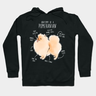 Pomeranian Anatomy Hoodie